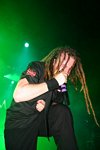 In Flames / Devildriver