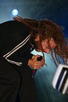 In Flames