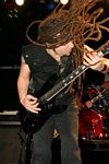 Breed 77