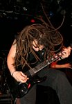 Breed 77