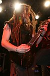 Breed 77