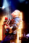 Backyard Babies
