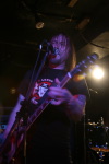 01BlackSpiders