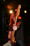 01BlackSpiders