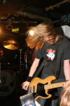 01BlackSpiders