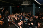01BlackSpiders