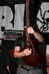 01BlackSpiders