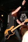 01BlackSpiders