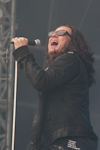 The Cult