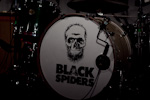 Black Spiders