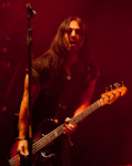 WASP