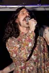 Turbowolf