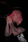 The Rotted