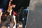 Mastodon