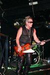 Gregs, Tigertailz