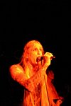 Steevi Jaimz, Tigertailz