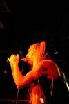Steevi Jaimz, Tigertailz