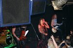 Tigertailz