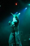 Alter Bridge