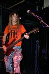Cavalar