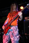 Cavalar