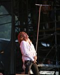 Whitesnake