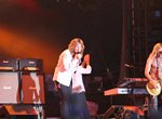Whitesnake