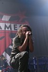 In Flames