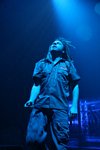 In Flames