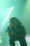 In Flames