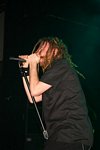 In Flames