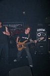 Imicus