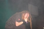 In Flames