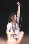 Shadows Fall