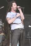 Shadows Fall