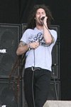 Shadows Fall