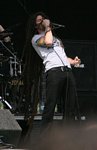 Shadows Fall