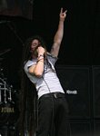 Shadows Fall
