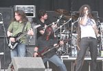 Shadows Fall