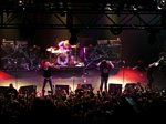 Black Stone Cherry
