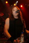 Gamma Ray