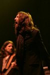 Black Crowes