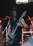 Disturbed