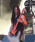 Disturbed
