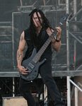 Disturbed