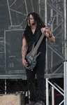 Disturbed