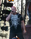 Disturbed