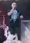 Disturbed