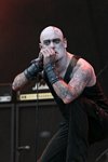 Primordial