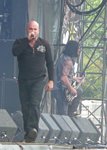 Disturbed